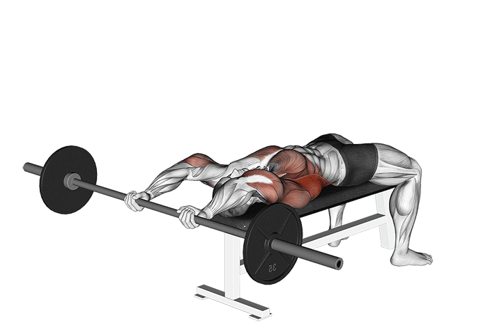 Animation Pullover (Barre)