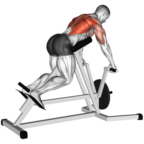 Rowing à la barre en T (Machine)