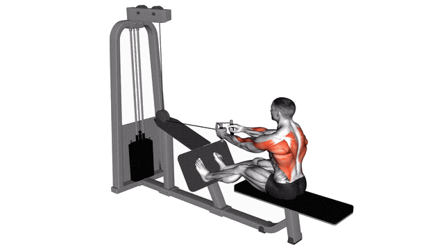 Animation Rowing assis prise en V (Poulie)