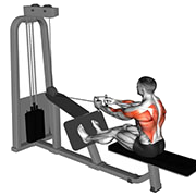 Rowing assis prise en V (Poulie)