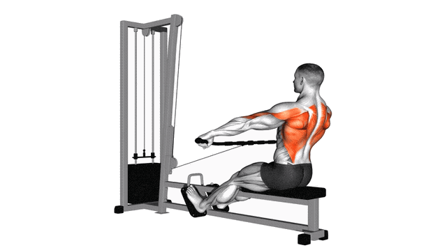 Animation Rowing assis prise large (Poulie)