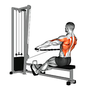 Rowing assis prise large (Poulie)