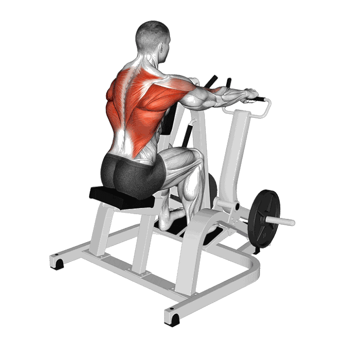 Animation Rowing assis pronation (Machine)
