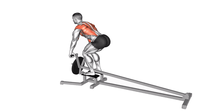 Animation Rowing en T (Barre)