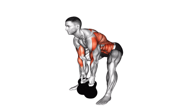 Animation Rowing gorille (Kettlebell)