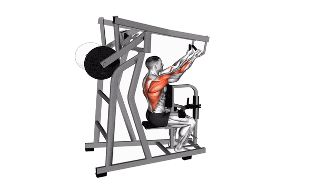 Animation Rowing haut iso-lateral (Machine)