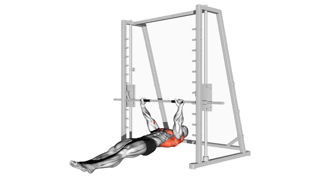 Animation Rowing inverse