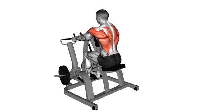 Animation Rowing iso-lateral (Machine)