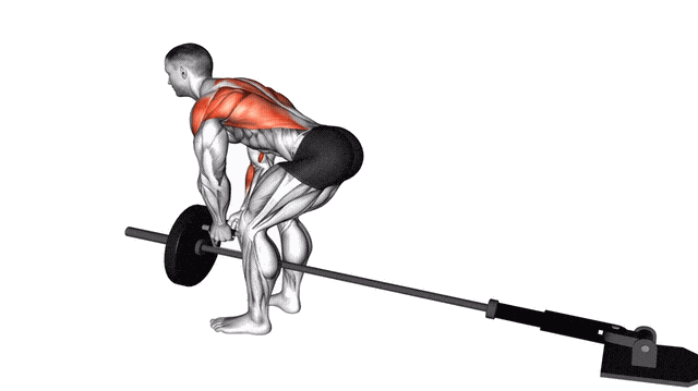 Animation Rowing Landmine