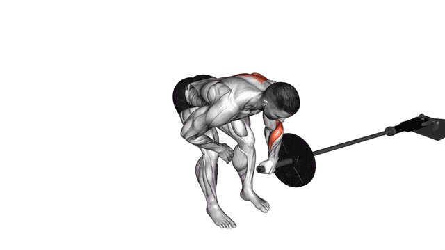 Animation Rowing Meadows (Barre)