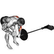 Rowing Meadows (Barre)