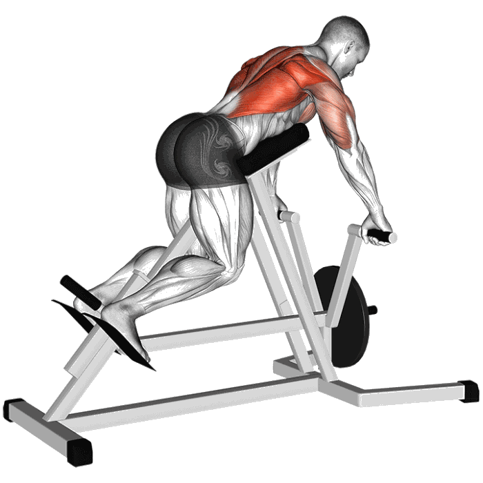 Animation Rowing T-bar (Machine)