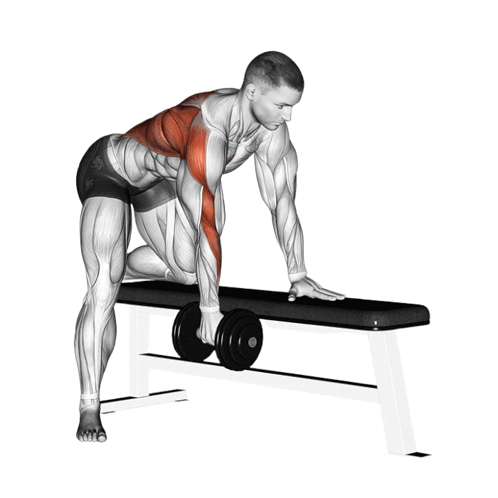 Rowing un bras (Haltère)