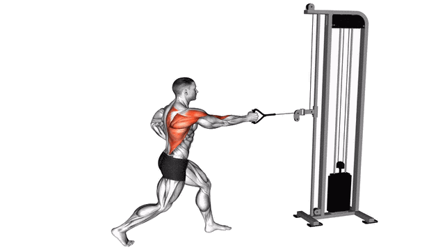 Animation Rowing un bras (Poulie)