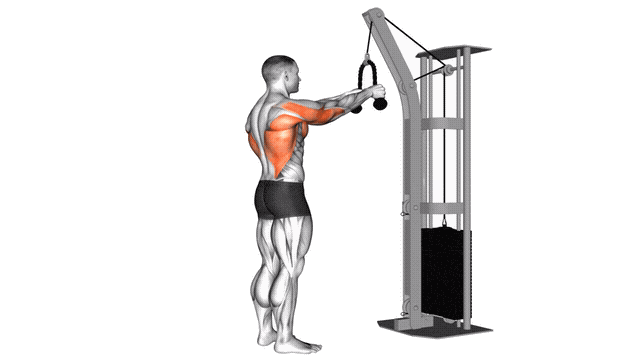 Animation Tirage bras tendu a la corde (Poulie)