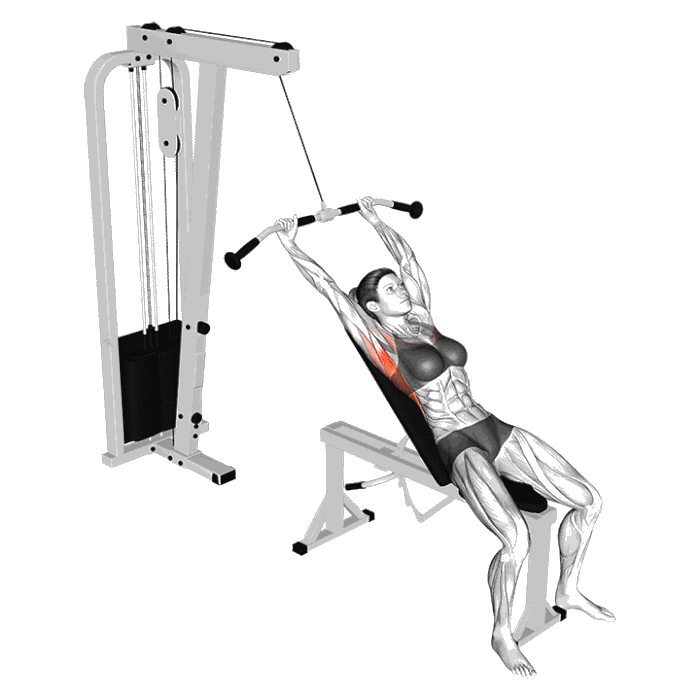 Animation Tirage incliné à la poulie haute