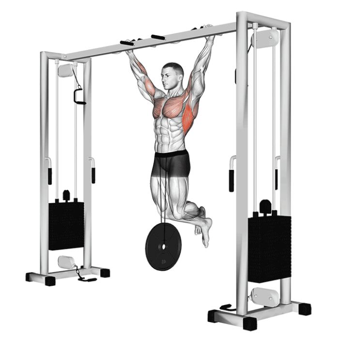 Animation Traction (Lestée)