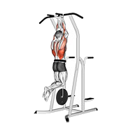 Traction prise supination (Lestee)