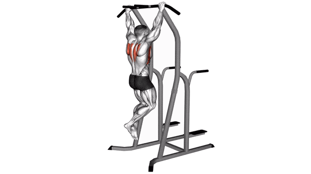 Animation Traction scapulaire