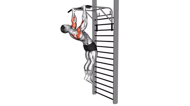 Animation Traction sternum (Gironda)