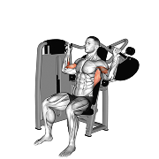 Traction verticale (Machine)