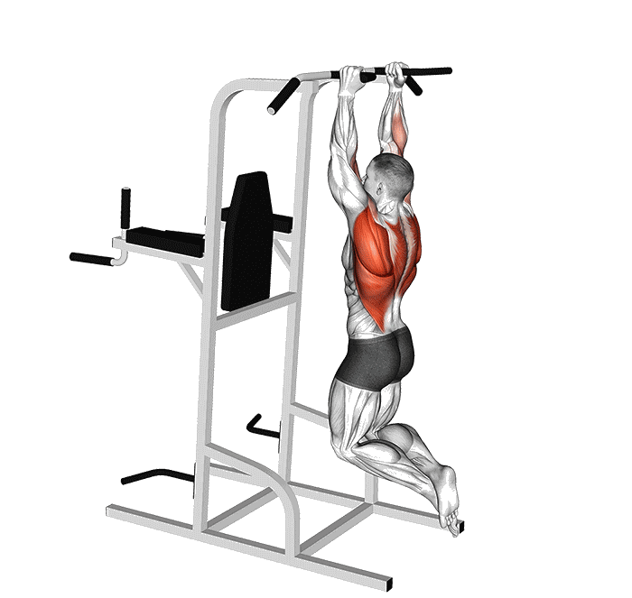 Animation Tractions prise neutre