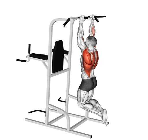 Tractions prise neutre