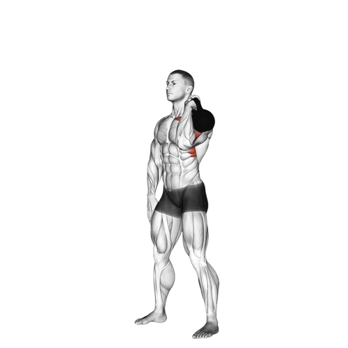 Développé épaule (Kettlebell)