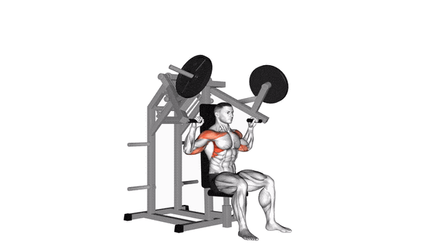 Animation Developpe epaule (Machine a disques)