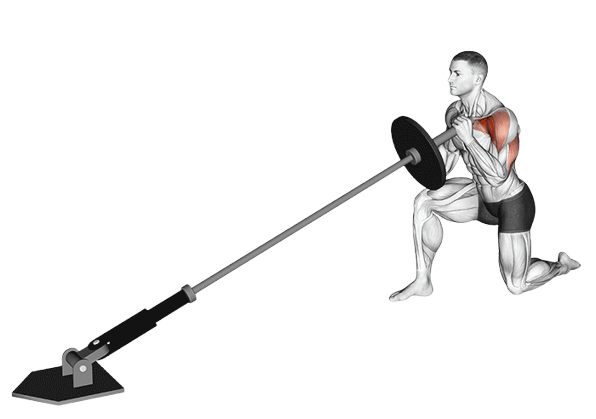 Développé épaule unilatéral à genou avec landmine