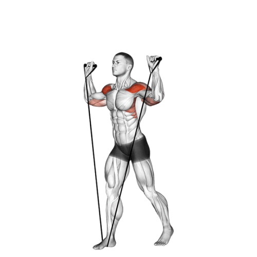 Développé épaules (Élastique)