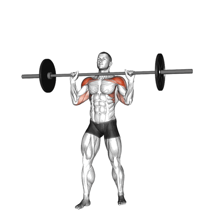 Animation Développé militaire (Barre)