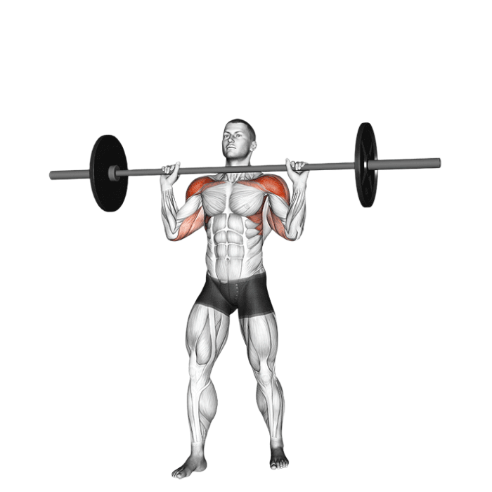 Développé militaire (Barre)