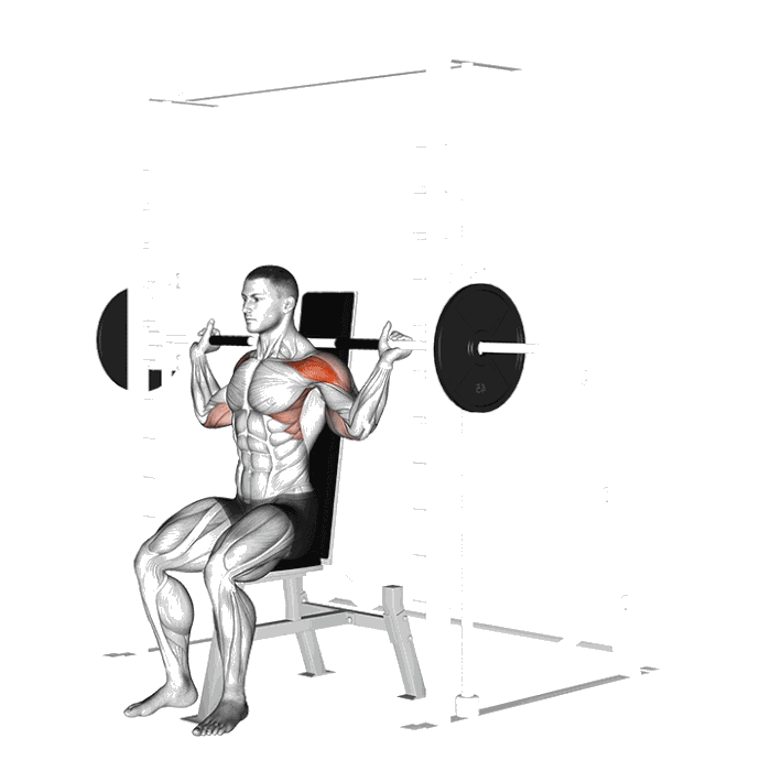 Animation Développé nuque barre guidée