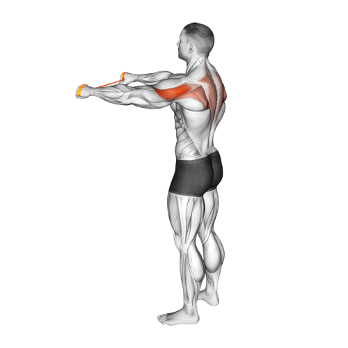 Écarté (Élastique)