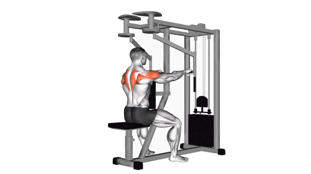 Animation Ecarte inverse deltoide inferieur (Machine)