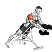 Ecarte inverse soutenu (Halteres)