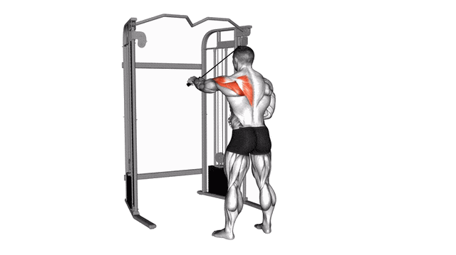 Animation Ecarte inverse un bras (Poulie)