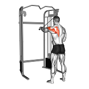 Ecarte inverse un bras (Poulie)