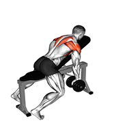 Elevation en Y soutenu (Halteres)