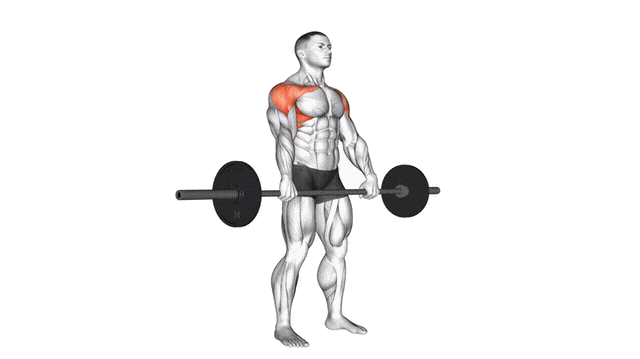 Animation Elevation frontale (Barre)