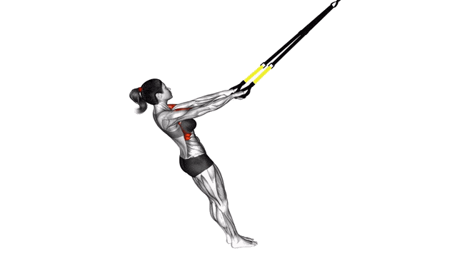 Animation Elevation frontale (Suspension)