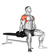 Elevation laterale assis (Halteres)