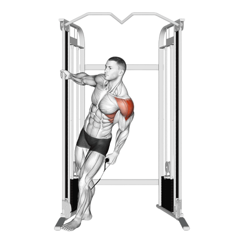 Élévation latérale en inclinaison un bras (Poulie)