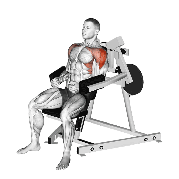 Élévation latérale (Machine)