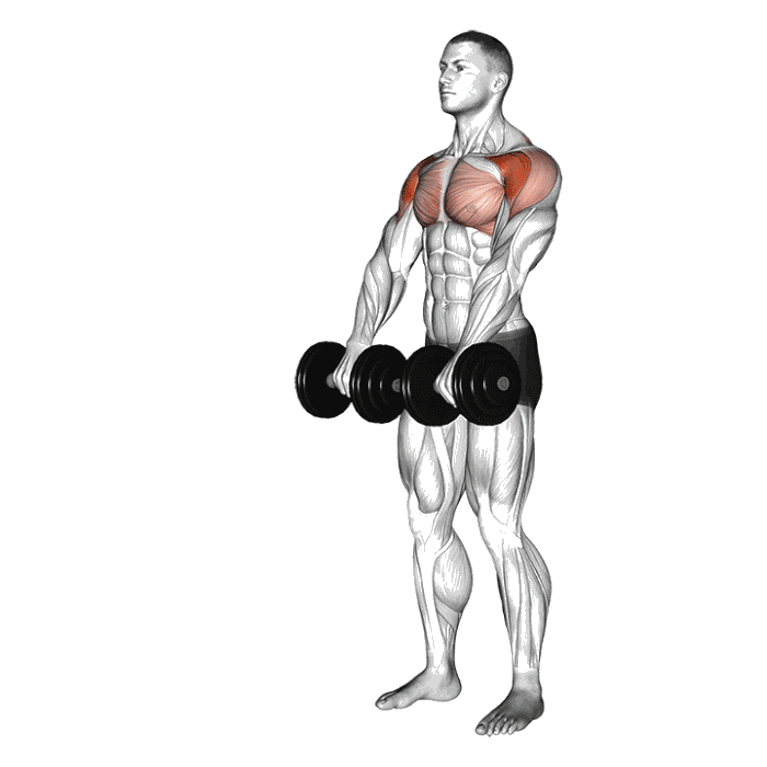 Animation Élévations frontales