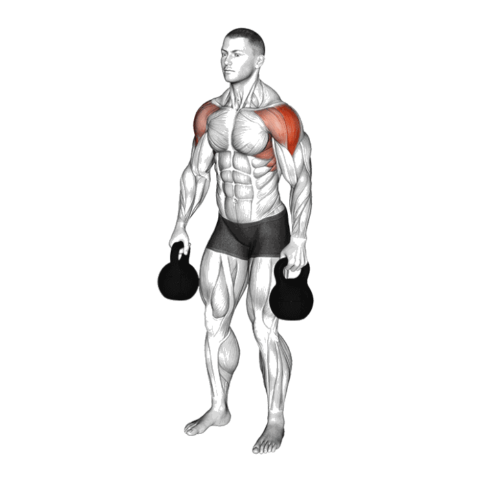 Animation Élévations latérales avec kettlebell