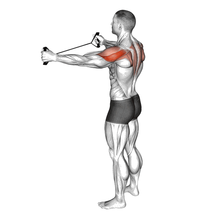 Animation Extension horizontale des épaules (Élastique)