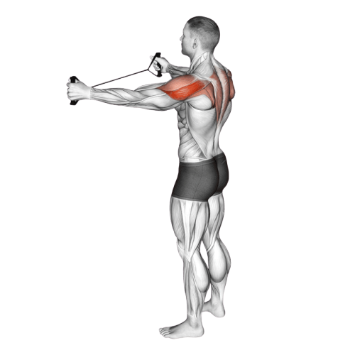 Extension horizontale des épaules (Élastique)