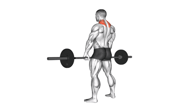 Animation Haussement d'epaules (Barre)